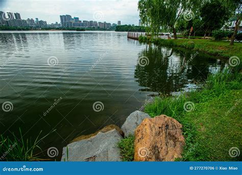 長沙市春天開什麼花？繁盛春景細探繁花事